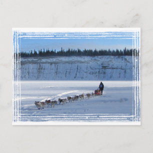 Yukon Quest Team Briefkaart