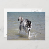 YukonWasser Briefkaart (Voorkant / Achterkant)