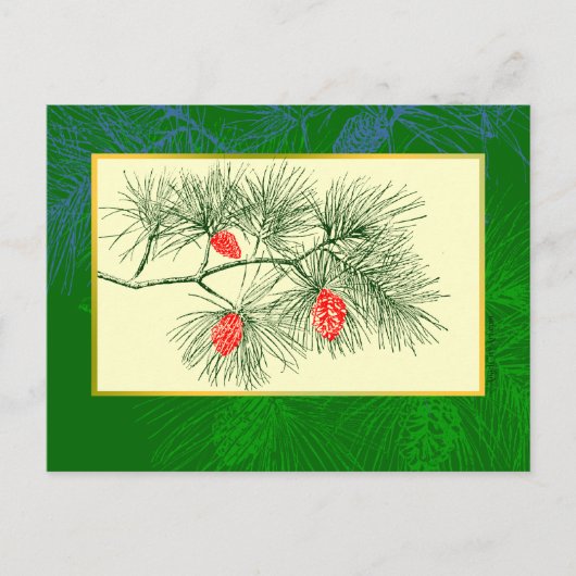 Yule Pine Branch  Art Post Kaart (Voorkant)
