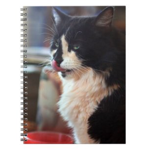 Yum! Tasty Kat Behandelt! Notitieboek