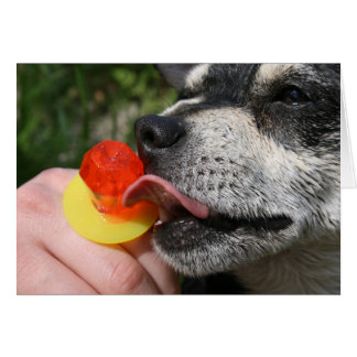 Yummy