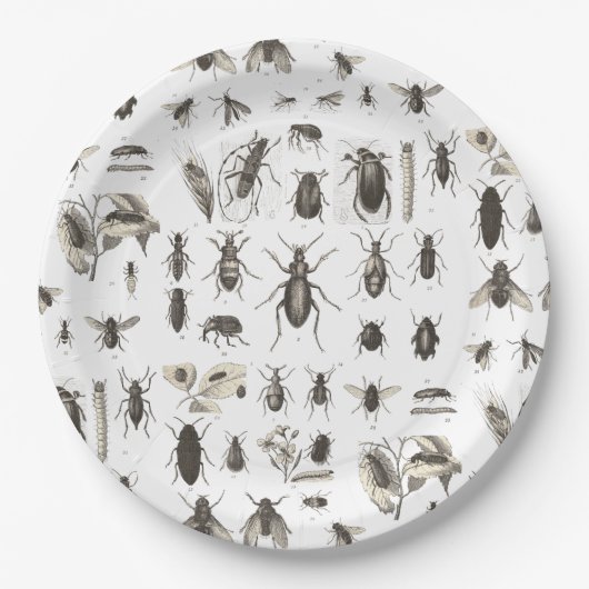 Yummy Bugs Funny Insect Kids Birthday Borden Papieren Bordje (Voorkant)