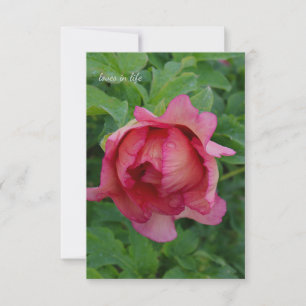 Yummy Pink Blooming Peony Notitiekaartje