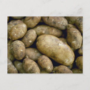 Yummy Potatoes Briefkaart