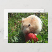 Yummy Strawberry Hammie Briefkaart (Voorkant / Achterkant)