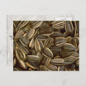 Yummy Sunflower seed Briefkaart (Voorkant / Achterkant)
