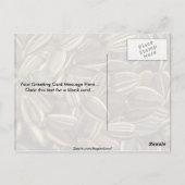 Yummy Sunflower seed Briefkaart (Achterkant)