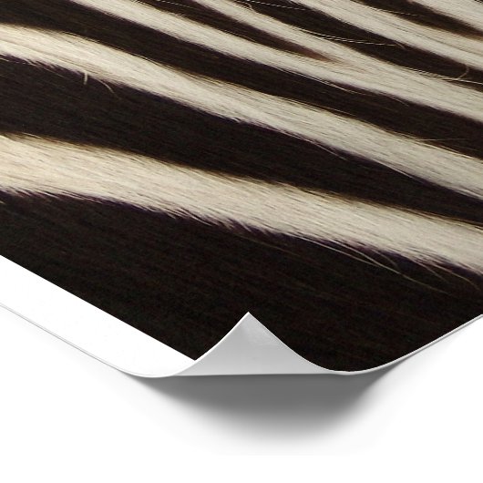 Z Stripe Poster (Hoek)