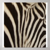 Z Stripe Poster (Voorkant)