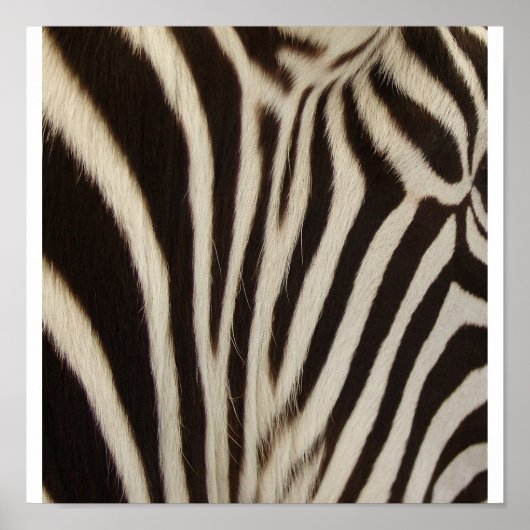 Z Stripe Poster (Voorkant)