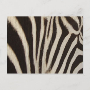 Z Stripes Briefkaart