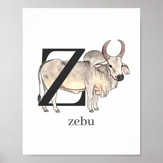 Z voor Zebu-Poster Poster (Voorkant)