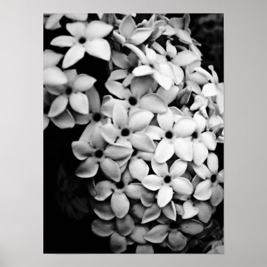Z&W POSTER (Voorkant)
