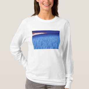 ZA, Chili, Coquimbo-regio, Nieve Penitente; T-shirt