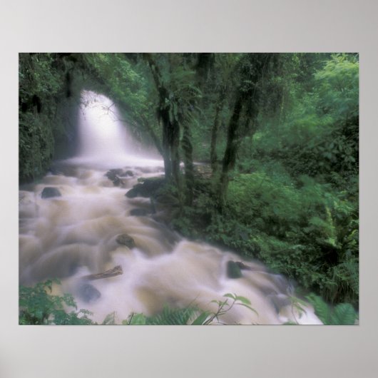 ZA, Peru, S.H. Machu Picchu, Waterval en wolk Poster (Voorkant)