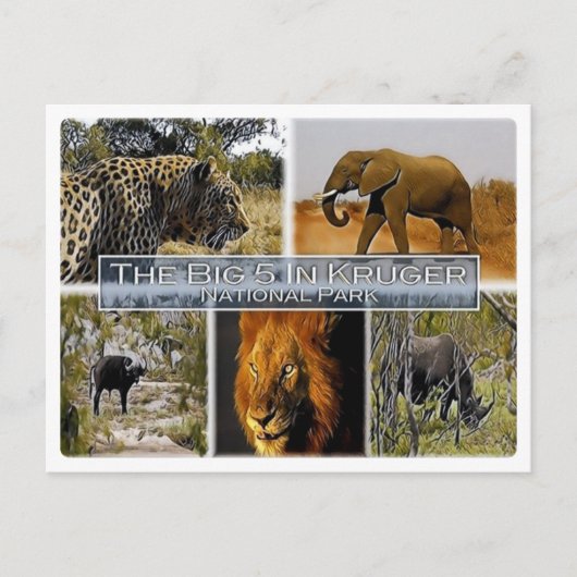 ZA * ZUID-AFRIKA - DE GROTE 5 in KRUGER N.P. Briefkaart (Voorkant)
