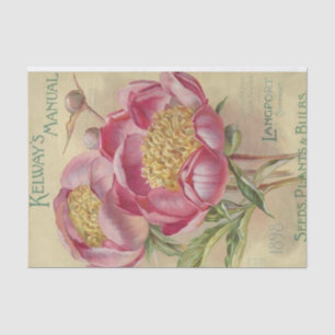 zaad van Kelway's Manual Seeds 1898 Tissuepapier