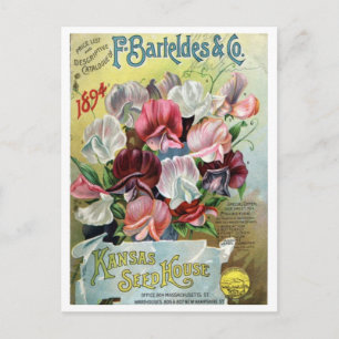  zaadadvertentie briefkaart