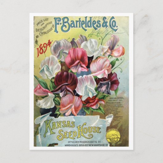  zaadadvertentie briefkaart (Voorkant)