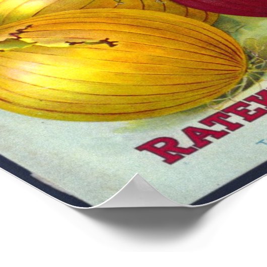 ZAADCATALOGAFDRUKKING POSTER (Hoek)