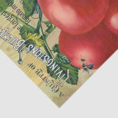  zaadcatalogus, Buckeye staat Livingston Tissuepapier (Detail)