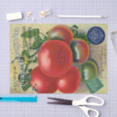  zaadcatalogus, Buckeye staat Livingston Tissuepapier (Craft)