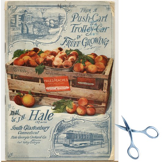  zaadcatalogus Hale's Peaches Tissuepapier