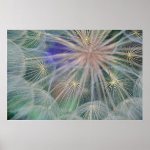 Zaadkopontwerp   Gennesse, Idaho Poster