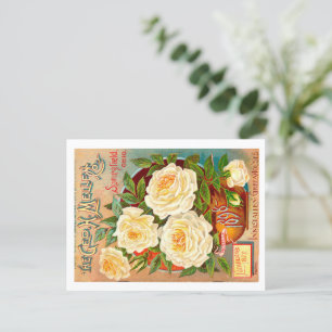 zaadpakket. briefkaart