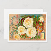  zaadpakket. briefkaart (Voorkant / Achterkant)