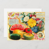  zaadpakket. briefkaart (Voorkant / Achterkant)