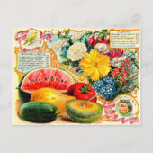  zaadpakket. briefkaart (Voorkant)