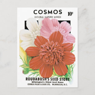  zaadpakketkunst, kosmos tuinbloemen briefkaart