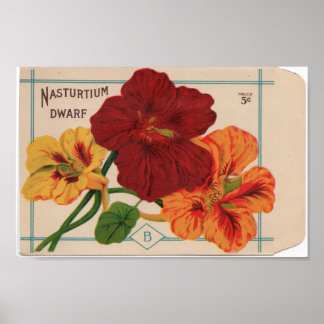 zaadpakketten poster