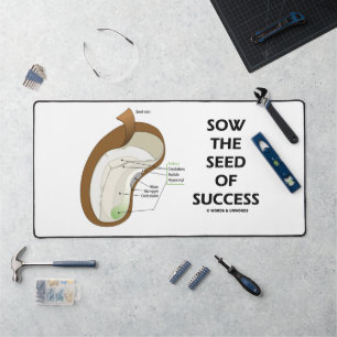 Zaai het zaad van succes dicotyledon Bean Seed Bureaumat