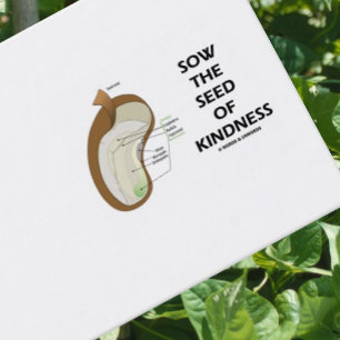 Zaai het zaad van vriendelijkheid (Dicotyledon bon Visitekaartje