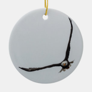 Zaaiende Bald Eagle Bird Flight Beauful Natuur Keramisch Ornament