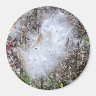 Zaaigoed en Kantoor van zijde Magneet