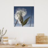 Zaaigoed en potigen van moskroos poster (Keuken)