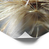 Zaaigoed Puff 10x8 Foto Afdruk (Hoek)