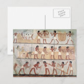 zaaigoed van de tomb van Unsou Briefkaart (Voorkant / Achterkant)