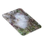 Zaaigoed van milroos en zijde flexibel magneet (Rechterzijde)