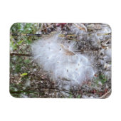 Zaaigoed van milroos en zijde flexibel magneet (Horizontaal)