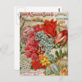 Zaaizaad van salzer briefkaart (Voorkant / Achterkant)