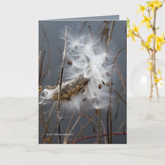 Zaaizaad van zijderupsen kaart (Gele Bloem)