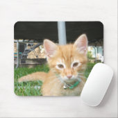 Zaccheus de Kitten Muismat (Met muis)