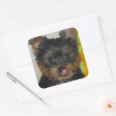 Zach Pup Sticker (Envelop)