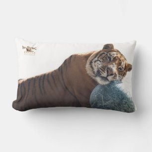 Zachariah heeft je rug kussen