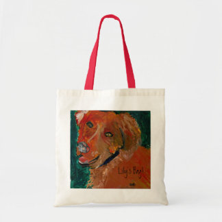 Zach's tas voor Lily