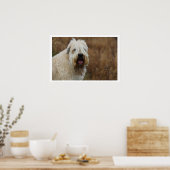 Zacht beklede wielrenner poster (Keuken)